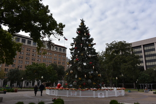 Filename=DSC_3386.JPG
Filesize=18803KiB
Dimensions=7360x4912
Date added=Sep 26, 2019 DSC_3386.JPG