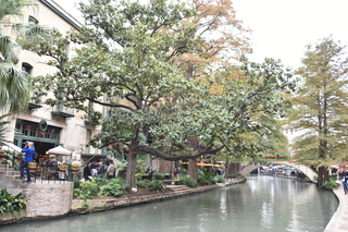 Filename=DSC_3395.JPG
Filesize=24587KiB
Dimensions=7360x4912
Date added=Sep 26, 2019 DSC_3395.JPG