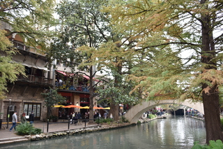 Filename=DSC_3396.JPG
Filesize=22783KiB
Dimensions=7360x4912
Date added=Sep 26, 2019 DSC_3396.JPG