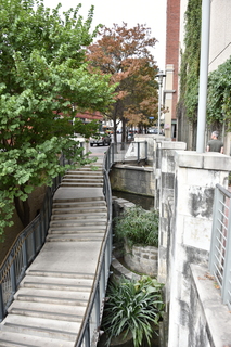 Filename=DSC_3403.JPG
Filesize=18626KiB
Dimensions=4912x7360
Date added=Sep 26, 2019 DSC_3403.JPG