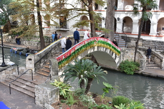 Filename=DSC_3410.JPG
Filesize=22740KiB
Dimensions=7360x4912
Date added=Sep 26, 2019 DSC_3410.JPG