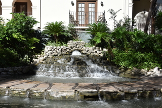 Filename=DSC_3422.JPG
Filesize=22647KiB
Dimensions=7360x4912
Date added=Sep 26, 2019 DSC_3422.JPG