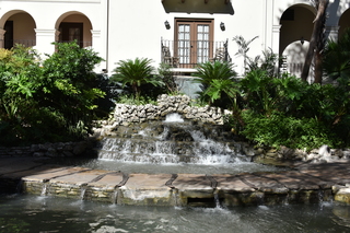 Filename=DSC_3424.JPG
Filesize=22172KiB
Dimensions=7360x4912
Date added=Sep 26, 2019 DSC_3424.JPG