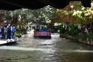 Filename=DSC_3432.JPG
Filesize=20750KiB
Dimensions=7360x4912
Date added=Sep 26, 2019 DSC_3432.JPG