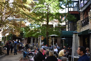 Filename=DSC_3435.JPG
Filesize=22316KiB
Dimensions=7360x4912
Date added=Sep 26, 2019 DSC_3435.JPG