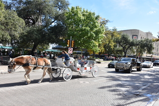 Filename=DSC_3442.JPG
Filesize=23087KiB
Dimensions=7360x4912
Date added=Sep 26, 2019 DSC_3442.JPG