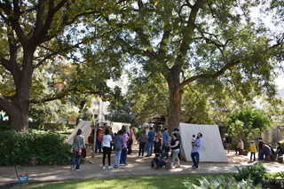 Filename=DSC_3450.JPG
Filesize=27880KiB
Dimensions=7360x4912
Date added=Sep 26, 2019 DSC_3450.JPG