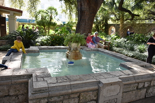 Filename=DSC_3456.JPG
Filesize=21794KiB
Dimensions=7360x4912
Date added=Sep 26, 2019 DSC_3456.JPG