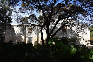 Filename=DSC_3457.JPG
Filesize=25544KiB
Dimensions=7360x4912
Date added=Sep 26, 2019 DSC_3457.JPG