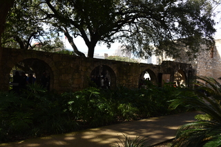 Filename=DSC_3458.JPG
Filesize=21095KiB
Dimensions=7360x4912
Date added=Sep 26, 2019 DSC_3458.JPG