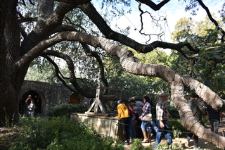 Filename=DSC_3460.JPG
Filesize=24353KiB
Dimensions=7360x4912
Date added=Sep 26, 2019 DSC_3460.JPG