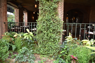 Filename=DSC_3464.JPG
Filesize=21367KiB
Dimensions=7360x4912
Date added=Sep 26, 2019 DSC_3464.JPG