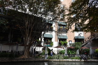 Filename=DSC_3465.JPG
Filesize=23087KiB
Dimensions=7360x4912
Date added=Sep 26, 2019 DSC_3465.JPG