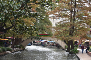 Filename=DSC_3480.JPG
Filesize=24366KiB
Dimensions=7360x4912
Date added=Sep 26, 2019 DSC_3480.JPG