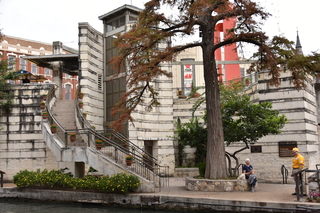 Filename=DSC_3501.JPG
Filesize=22168KiB
Dimensions=7360x4912
Date added=Sep 26, 2019 DSC_3501.JPG