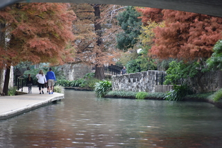 Filename=DSC_3502.JPG
Filesize=18622KiB
Dimensions=7360x4912
Date added=Sep 26, 2019 DSC_3502.JPG