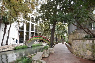 Filename=DSC_3505.JPG
Filesize=23358KiB
Dimensions=7360x4912
Date added=Sep 26, 2019 DSC_3505.JPG