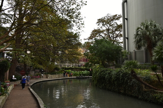 Filename=DSC_3511.JPG
Filesize=22186KiB
Dimensions=7360x4912
Date added=Sep 26, 2019 DSC_3511.JPG