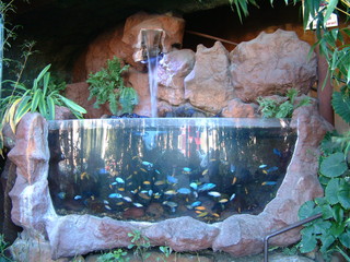 Dallas_World_Aquarium_6-22-01_004.jpg