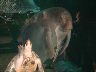 Dallas_World_Aquarium_6-22-01_046.jpg