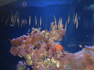 Dallas_World_Aquarium_6-22-01_047.jpg