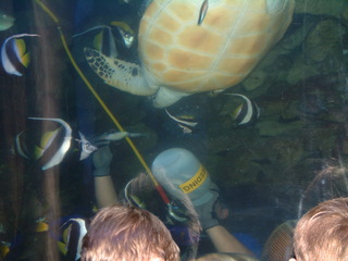 Dallas_World_Aquarium_6-22-01_050.jpg