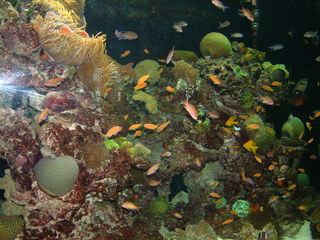 Dallas_World_Aquarium_6-22-01_074.jpg