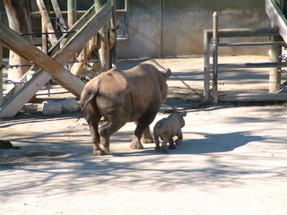 Filename=Ft_Worth_Zoo1_12-23-01_008.jpg
Filesize=1281KiB
Dimensions=2048x1536
Date added=Sep 28, 2019 Ft_Worth_Zoo1_12-23-01_008.jpg