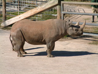 Filename=Ft_Worth_Zoo1_12-23-01_012.jpg
Filesize=1244KiB
Dimensions=2048x1536
Date added=Sep 28, 2019 Ft_Worth_Zoo1_12-23-01_012.jpg