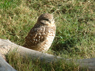 Filename=Ft_Worth_Zoo1_12-23-01_032.jpg
Filesize=1352KiB
Dimensions=2048x1536
Date added=Sep 28, 2019 Ft_Worth_Zoo1_12-23-01_032.jpg