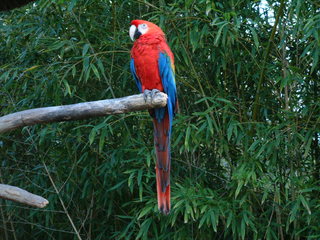 Filename=Ft_Worth_Zoo1_12-23-01_054.jpg
Filesize=1169KiB
Dimensions=2048x1536
Date added=Sep 28, 2019 Ft_Worth_Zoo1_12-23-01_054.jpg