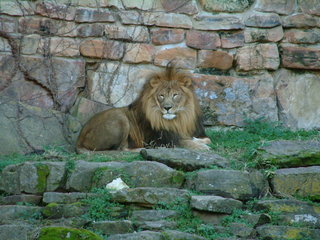 Filename=Ft_Worth_Zoo1_12-23-01_064.jpg
Filesize=1153KiB
Dimensions=2048x1536
Date added=Sep 28, 2019 Ft_Worth_Zoo1_12-23-01_064.jpg
