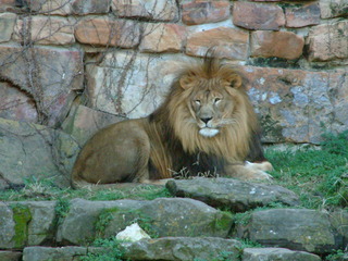 Filename=Ft_Worth_Zoo1_12-23-01_065.jpg
Filesize=1312KiB
Dimensions=2048x1536
Date added=Sep 28, 2019 Ft_Worth_Zoo1_12-23-01_065.jpg