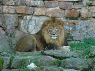 Filename=Ft_Worth_Zoo1_12-23-01_067.jpg
Filesize=1302KiB
Dimensions=2048x1536
Date added=Sep 28, 2019 Ft_Worth_Zoo1_12-23-01_067.jpg