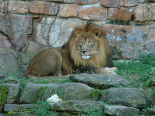 Filename=Ft_Worth_Zoo1_12-23-01_068.jpg
Filesize=1320KiB
Dimensions=2048x1536
Date added=Sep 28, 2019 Ft_Worth_Zoo1_12-23-01_068.jpg
