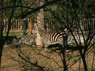 Filename=Ft_Worth_Zoo1_12-23-01_076.jpg
Filesize=1273KiB
Dimensions=2048x1536
Date added=Sep 28, 2019 Ft_Worth_Zoo1_12-23-01_076.jpg