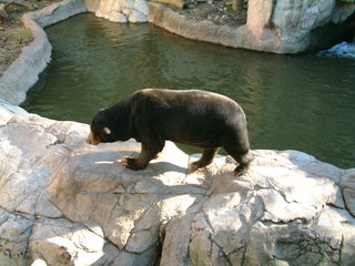 Filename=Ft_Worth_Zoo1_12-23-01_083.jpg
Filesize=1163KiB
Dimensions=2048x1536
Date added=Sep 28, 2019 Ft_Worth_Zoo1_12-23-01_083.jpg