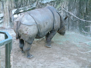 Filename=Ft_Worth_Zoo1_12-23-01_095.jpg
Filesize=1167KiB
Dimensions=2048x1536
Date added=Sep 28, 2019 Ft_Worth_Zoo1_12-23-01_095.jpg