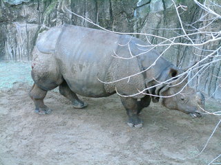 Filename=Ft_Worth_Zoo1_12-23-01_098.jpg
Filesize=1188KiB
Dimensions=2048x1536
Date added=Sep 28, 2019 Ft_Worth_Zoo1_12-23-01_098.jpg