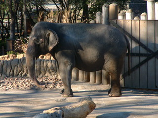 Filename=Ft_Worth_Zoo1_12-23-01_102.jpg
Filesize=1262KiB
Dimensions=2048x1536
Date added=Sep 28, 2019 Ft_Worth_Zoo1_12-23-01_102.jpg