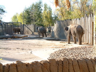Filename=Ft_Worth_Zoo2_12-23-01_003.jpg
Filesize=1283KiB
Dimensions=2048x1536
Date added=Sep 28, 2019 Ft_Worth_Zoo2_12-23-01_003.jpg