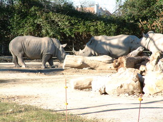 Filename=Ft_Worth_Zoo2_12-23-01_008.jpg
Filesize=1252KiB
Dimensions=2048x1536
Date added=Sep 28, 2019 Ft_Worth_Zoo2_12-23-01_008.jpg