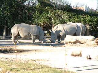 Filename=Ft_Worth_Zoo2_12-23-01_010.jpg
Filesize=1350KiB
Dimensions=2048x1536
Date added=Sep 28, 2019 Ft_Worth_Zoo2_12-23-01_010.jpg