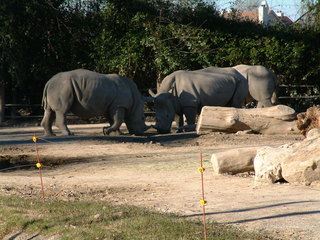 Filename=Ft_Worth_Zoo2_12-23-01_011.jpg
Filesize=1229KiB
Dimensions=2048x1536
Date added=Sep 28, 2019 Ft_Worth_Zoo2_12-23-01_011.jpg