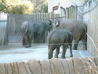 Ft_Worth_Zoo2_12-23-01_032.jpg