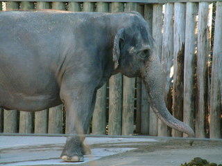 Ft_Worth_Zoo2_12-23-01_033.jpg