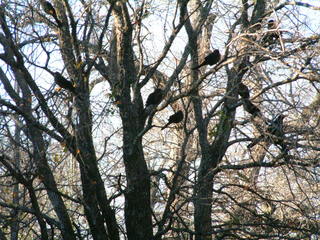 Filename=Ft_Worth_Zoo2_12-23-01_046.jpg
Filesize=1187KiB
Dimensions=2048x1536
Date added=Sep 28, 2019 Ft_Worth_Zoo2_12-23-01_046.jpg