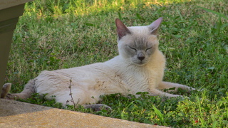 Filename=IMG_0110.JPG
Filesize=1357KiB
Dimensions=1920x1080
Date added=Sep 28, 2019 IMG_0110.JPG