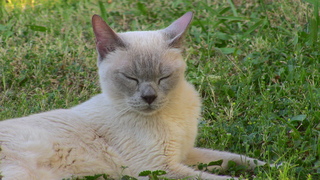 Filename=IMG_0111.JPG
Filesize=1223KiB
Dimensions=1920x1080
Date added=Sep 28, 2019 IMG_0111.JPG