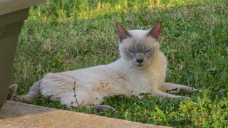 Filename=IMG_0112.JPG
Filesize=1318KiB
Dimensions=1920x1080
Date added=Sep 28, 2019 IMG_0112.JPG